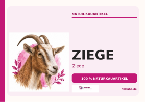 Ziege