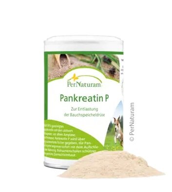 PerNaturam Pankreatin P 100g