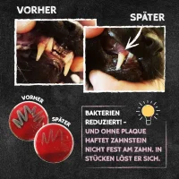 QCHEFS Zahnputzflocken für Katzen 80g – Zahnpflege