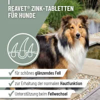 REAVET Zink mit Vitamin C und E 120 Stück Tabletten für Hunde