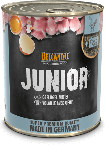 BELCANDO® Dose 800g Junior Geflügel mit Ei