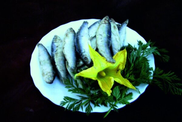 Tarus Frostfleisch Rinderpansen grün 1kg tiefgefroren