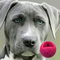 Moby Ball – Pink Größe XXL (12,0 x 11,0 cm)