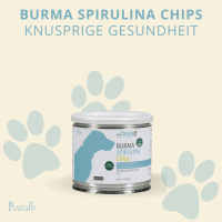 Plantavis Spirulina Chips DOG 90g - DogFauna Burma Spirulina