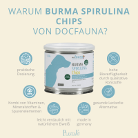 Plantavis Spirulina Chips DOG 90g - DogFauna Burma Spirulina