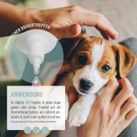 REAVET Augen Pflege Liquid 20ml für Hunde