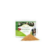 PerNaturam Perna Senior 100g Gelenkaktiv