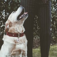 Charms: I Love Mom - Schmuckanhänger zum Gravieren