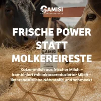 CAMISI Katzenmilch 250ml frisch vom Bauernhof Laktosereduziert mit Taurin