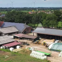 CAMISI Katzenmilch 250ml frisch vom Bauernhof Laktosereduziert mit Taurin