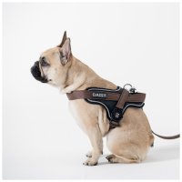 Hunde-Geschirr Y mit NFC Chip Grün - mit Plakette zum Gravieren - Memopet