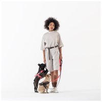Hunde-Geschirr Y mit NFC Chip Blau - mit Plakette zum Gravieren - Memopet