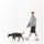 Hunde-Geschirr H mit NFC Chip Braun - mit Plakette zum Gravieren - Memopet