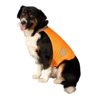 Nightwalk Safety Vest Orange