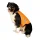 Nightwalk Safety Vest Orange