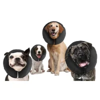 zenpet ZenCollar - aufblasbarer Schutzkragen