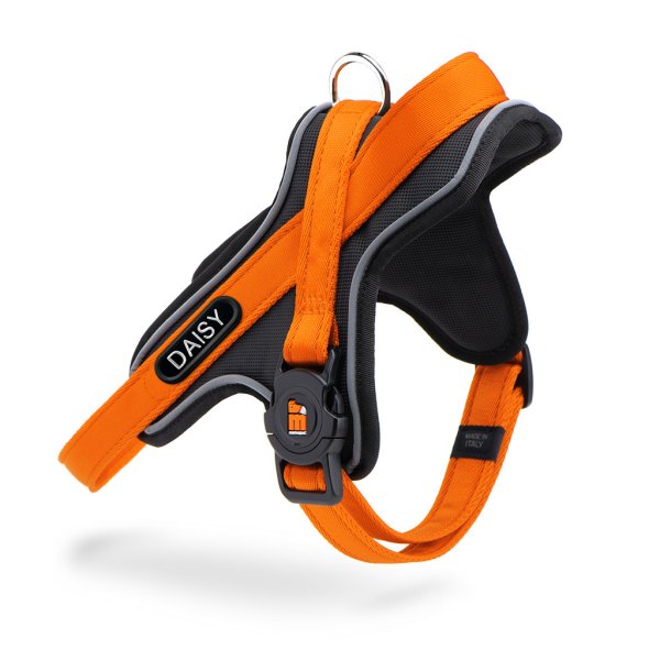 Hunde-Geschirr Y mit NFC Chip Orange - mit Plakette zum Gravieren - Memopet