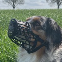 Nobby Maulkorb Standard schwarz