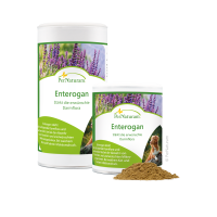 PerNaturam Enterogan 100g