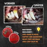 QCHEFS Zahnputzflocken für Hunde 140g –...