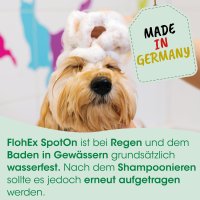 cdVet FlohEx SpotOn 10 ml