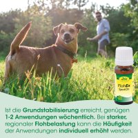 cdVet FlohEx SpotOn 10 ml