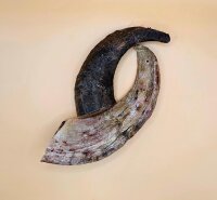 NaHuKa Natur Leckerli - Heidschnucken Hörner klein