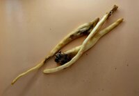 NaHuKa Natur Leckerli - Lammpansen 250g